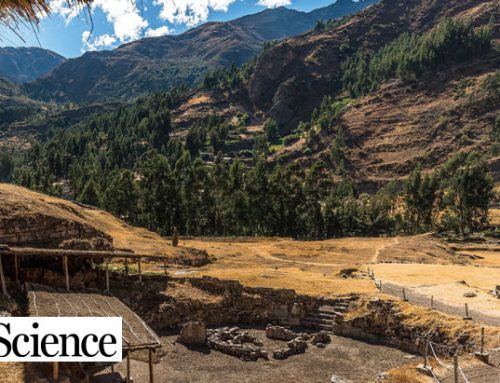 High Culture: How psychoactive substances helped spur Andean civilization